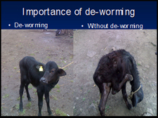 deworming